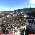 08_10-nest.jpg
