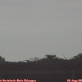 08_15-mast.jpg