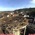 08_20-nest.jpg
