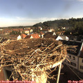 08_35-nest.jpg