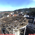 08_40-nest.jpg