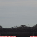 08_55-mast.jpg