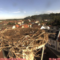09_10-nest.jpg