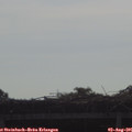 09_15-mast.jpg