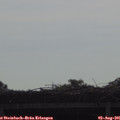 09_20-mast.jpg
