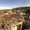 09_20-nest.jpg