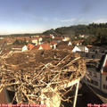 09_30-nest.jpg
