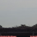 09_35-mast.jpg