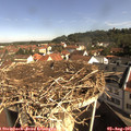 09_45-nest.jpg