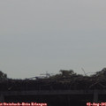 09_55-mast.jpg