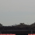 10_05-mast.jpg