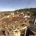 10_05-nest.jpg