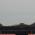10_10-mast.jpg