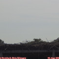 10_15-mast.jpg