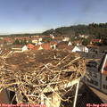 10_15-nest.jpg