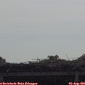 10_20-mast.jpg