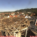 10_20-nest.jpg