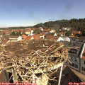10_25-nest.jpg