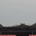 10_30-mast.jpg