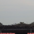 10_35-mast.jpg