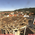 10_35-nest.jpg