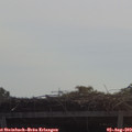 10_40-mast.jpg