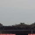 10_45-mast.jpg