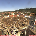10_55-nest.jpg