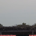 11_05-mast.jpg