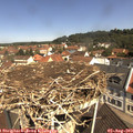 11_05-nest.jpg