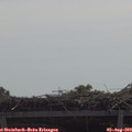 11_20-mast.jpg