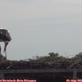 11_35-mast.jpg