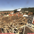 11_35-nest.jpg