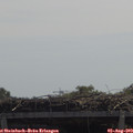 11_55-mast.jpg