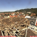11_55-nest.jpg