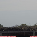 12_00-mast.jpg