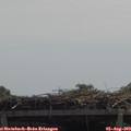 12_10-mast.jpg