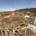 12_10-nest.jpg