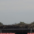 12_15-mast.jpg