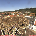 12_20-nest.jpg