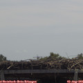 12_25-mast.jpg