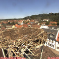 12_25-nest.jpg