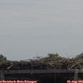 12_30-mast.jpg