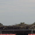 12_35-mast.jpg