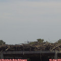 12_40-mast.jpg