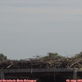 12_45-mast.jpg