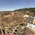 12_45-nest.jpg