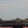 12_50-mast.jpg
