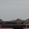 12_55-mast.jpg