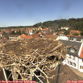 12_55-nest.jpg